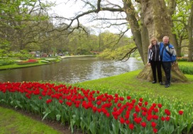 2014-04-17 Holland Tulips 52.jpg